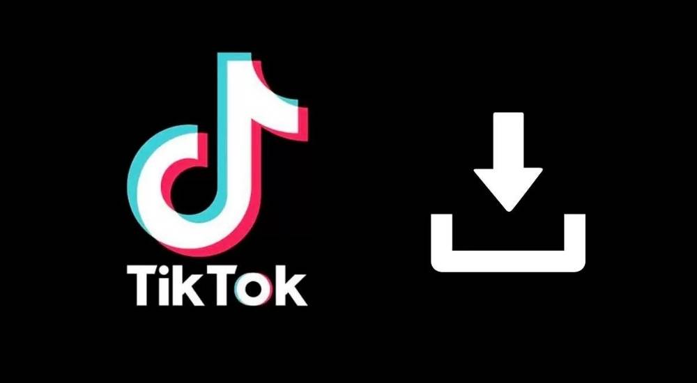 descargar videos sin marca de agua