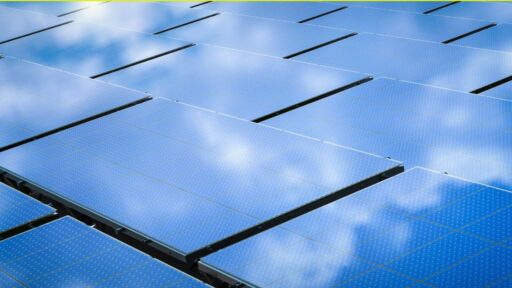 innovacion regenerativa 2