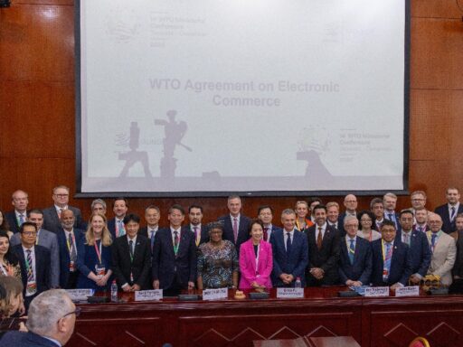 OMC comercio electrónico,marketing digital global,comercio electrónico internacional,regulación e-commerce